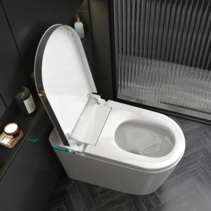 AI powered sensor wc