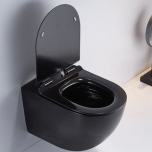 Concealed cistern WC