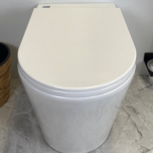 Concealed floor mounted WC