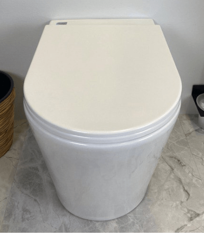 Concealed floor mounted WC